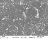 Xado Institute Chin Huan University 200µm