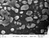 Xado Institute Chin Huan University 1µm